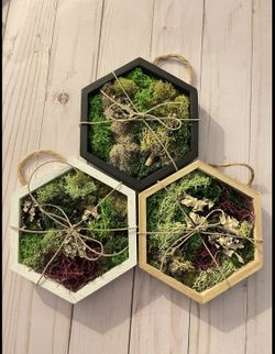 Wooden Hexagon Moss Shadow Box 6"x5"x1" in White, Black, or Natural Frame, Moss Wall Art, Handmade, Gift, Birthday, Bridal, Party Favor