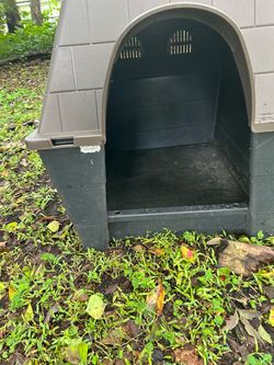 Dog outdoor house