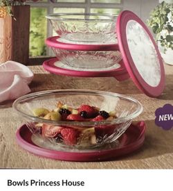 Princess house wildflower bowls / w lids