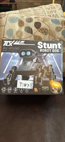 Robot