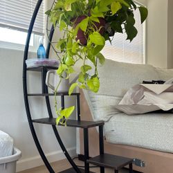 Plant Holder 