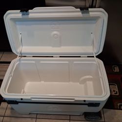Ice chest