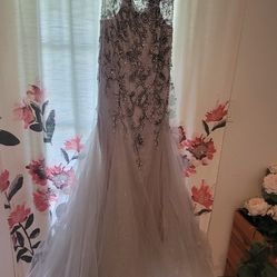  Beautiful Silver  Gown 