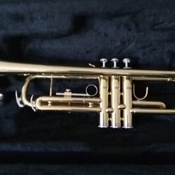 Trumpet Student New Mandini