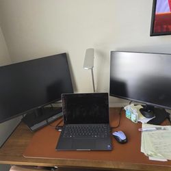 2 Dell Monitors (24 inches each)