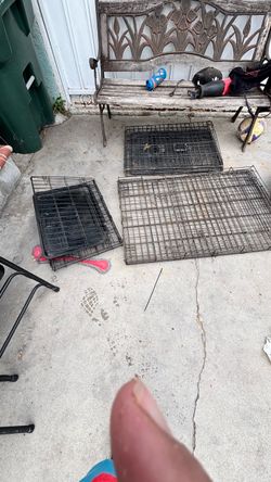 Cage for dog