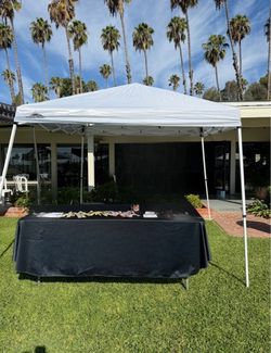 Eagle Peak 10x10 Pop up Canopy Easy Up Tent