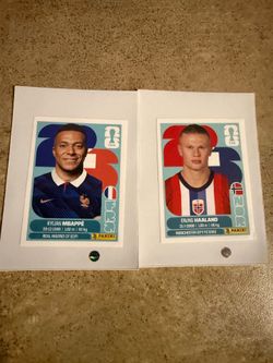Panini WC Stickers