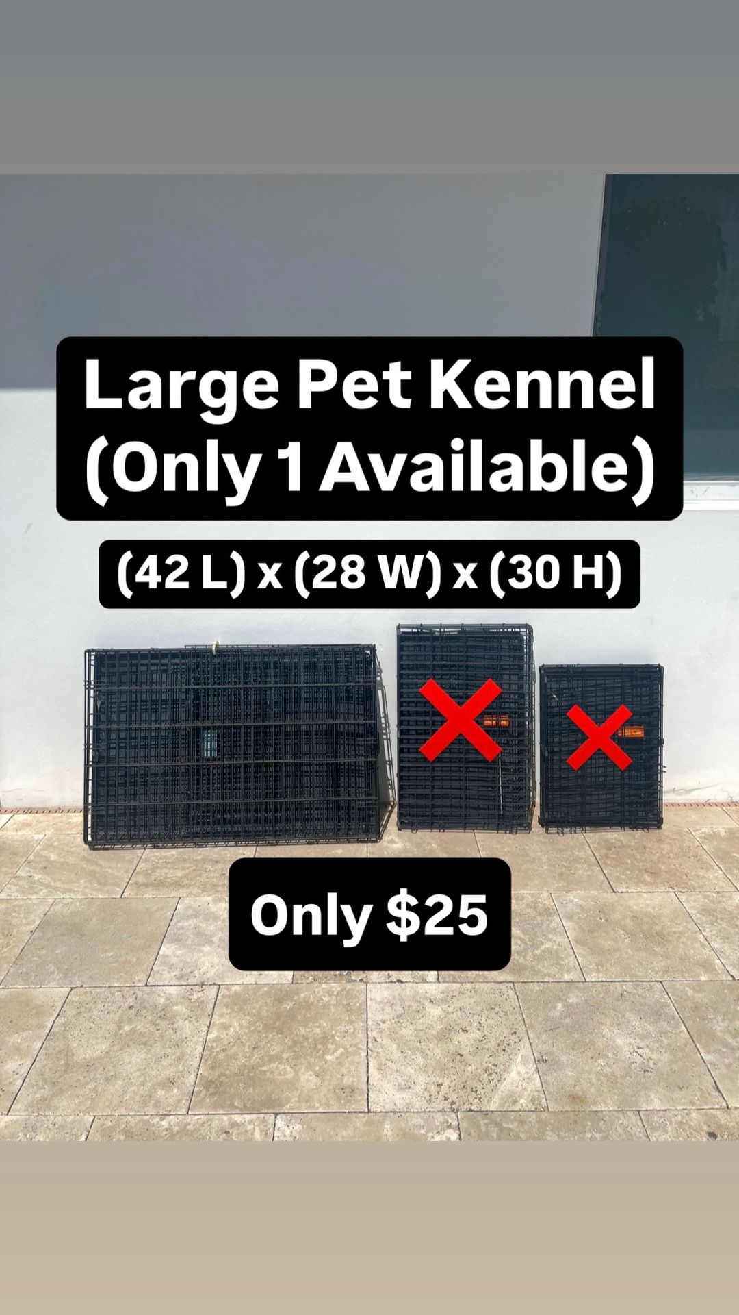 Large Pet Kennel (Only 1 Available) Pickup Today Available