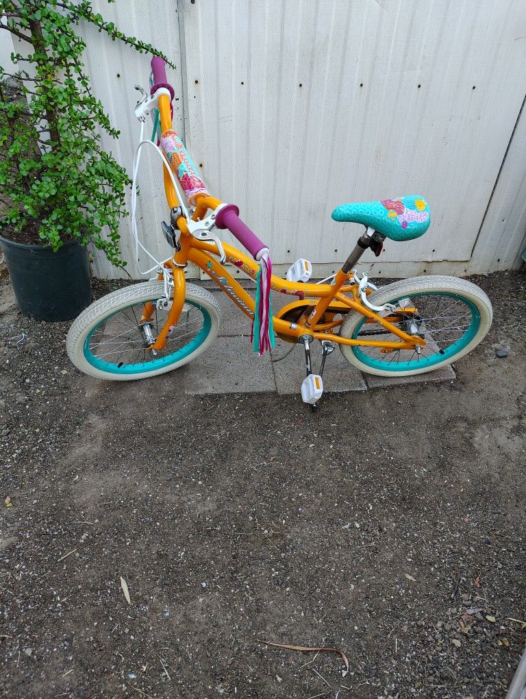 18 In Kids Bike 
