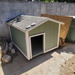 Dog House 