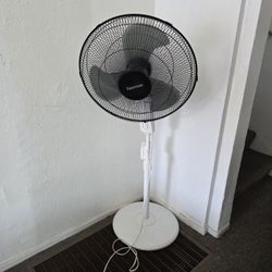 Kenmore Standing Fan 