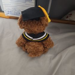 Cute Mini Graduation Teddy Bear