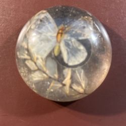 Vintage Paper Weight - Moth & Leaf 