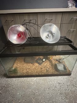 Reptile Terrarium tank