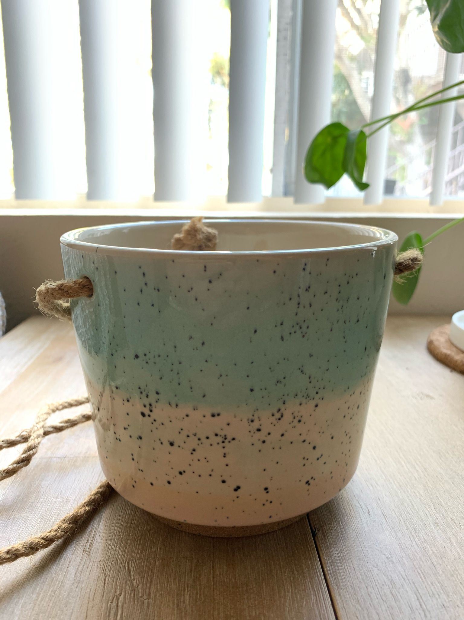 Threshold Stoneware Hanging Pot 