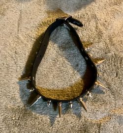 Spike collar
