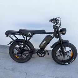 Emoto Fat Tire E Bike/Electric Bike