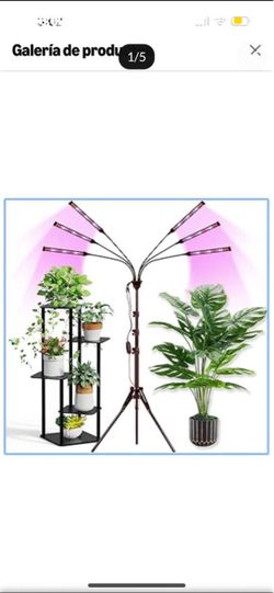 Grow lights 6 ft