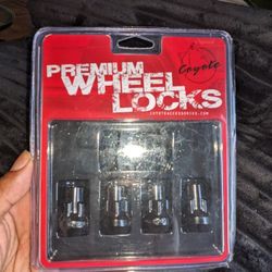 Car Rims Wheel Locks