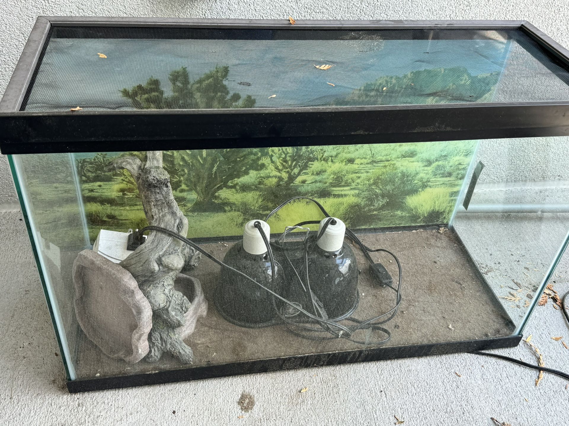 30 Gallon Reptile Tank