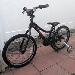 Trek Bike