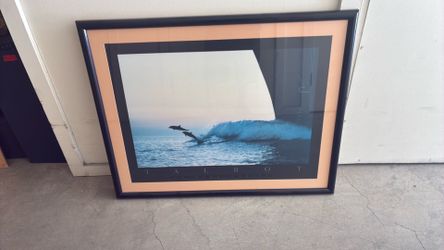 Framed Dolphin Print Poster Art Large Bob Talbot Ocean