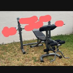 Bench Press And Squat Rack For Weights 