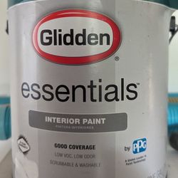Paint White Semi Gloss Interior 