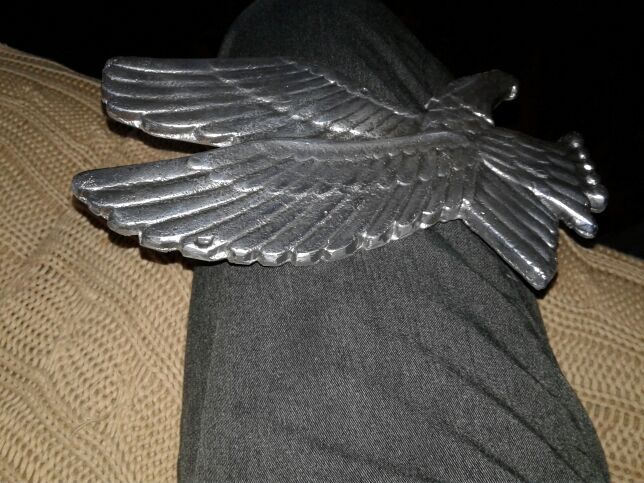 Medal eagle did it at school