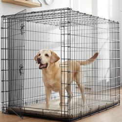 XXL Large Dog Crate From Chewy 