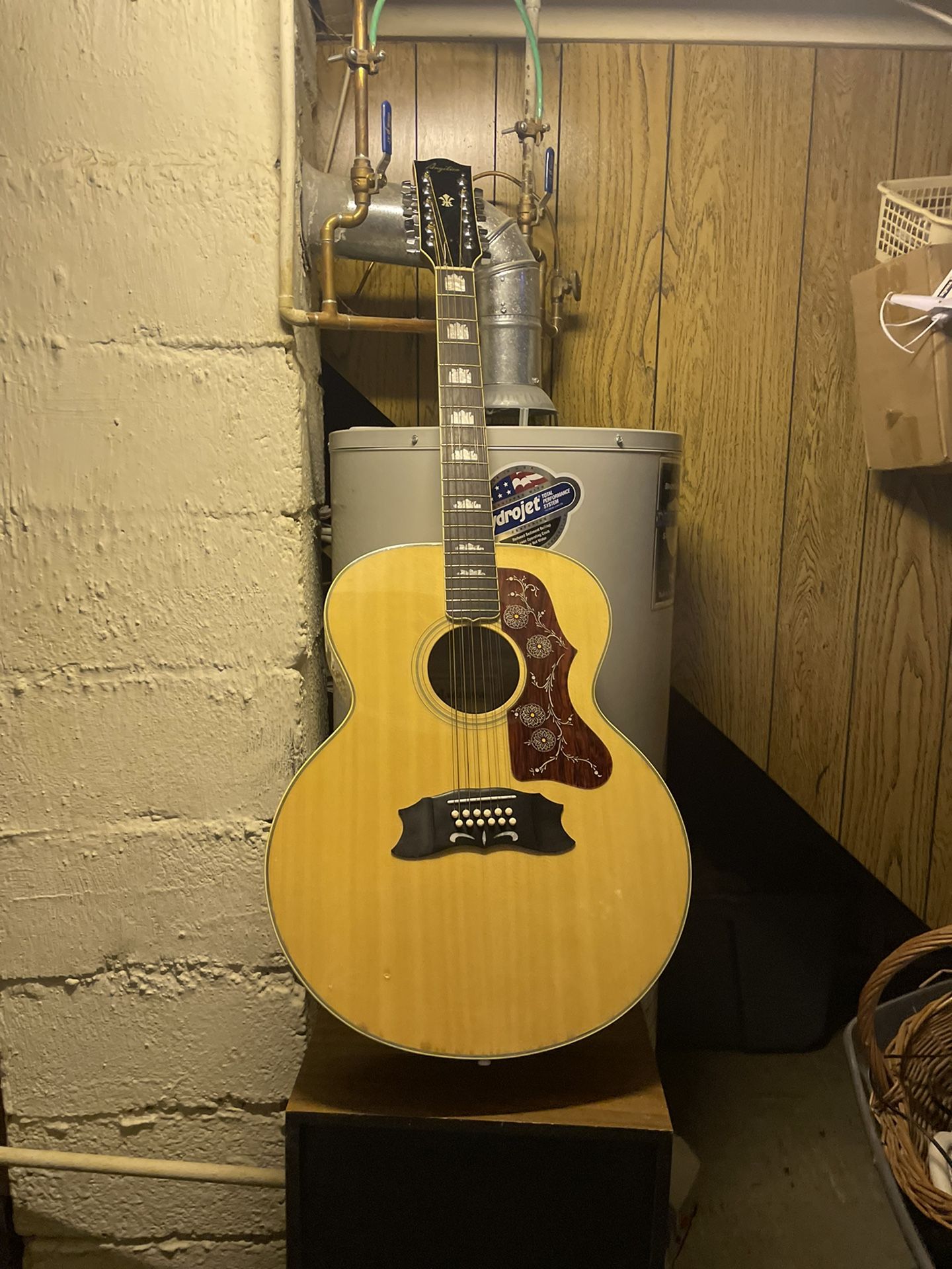 12 String Angelica Guitar