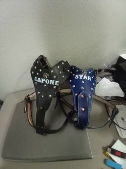 Dog Harness 🐕with Spike And Name Custom M,L,XL,XXL (Pecheras Para Perros Todas Las Medidas)