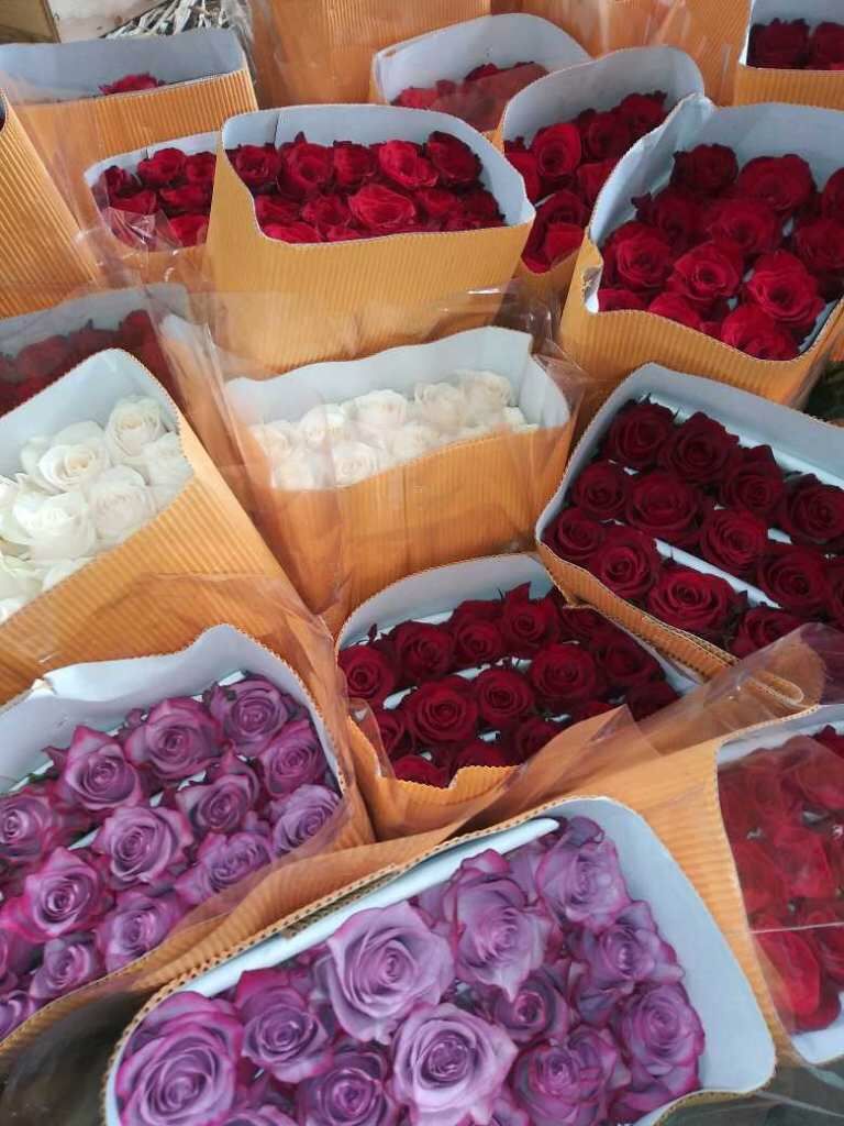 Rosas 🌹 🌹🌹🌹 por mayoreo y menudeo 🌹🌹🌹🌹