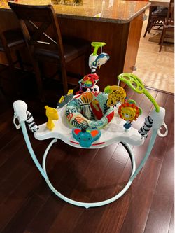 Baby Bouncer
