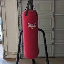 Punching bag and stand