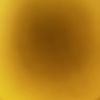 Ray