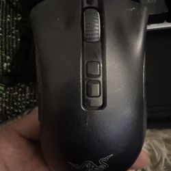 Razor Mouse 
