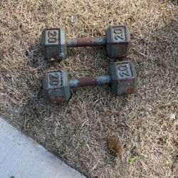 20lb Dumbbells 