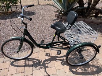 Adult tricycle