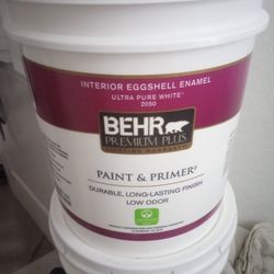 Bear Eggshell Interior And Primer Paint