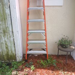8  Foot  Werner Ladder 