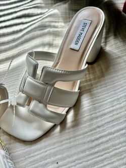 Steve Madden Women Heels 