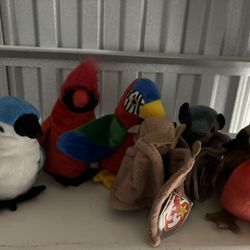 Ty Beanie Babies: Flyer Bundle