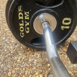 Curl Barbell 