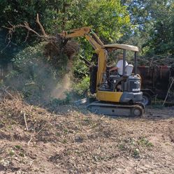 Mini Excavator With Operator