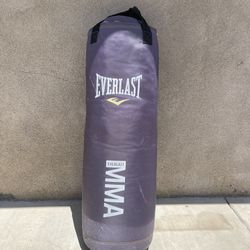 EverLast MMA Punching Bag 