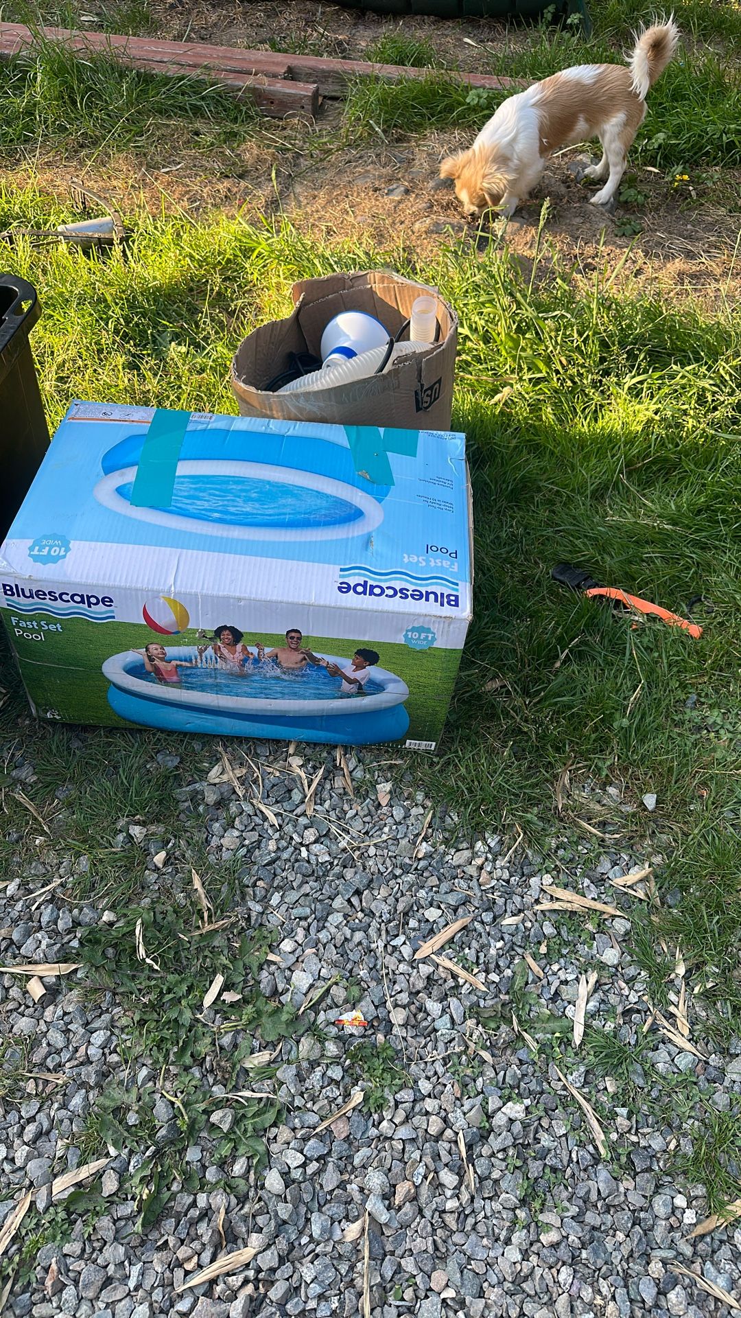 Used Pool