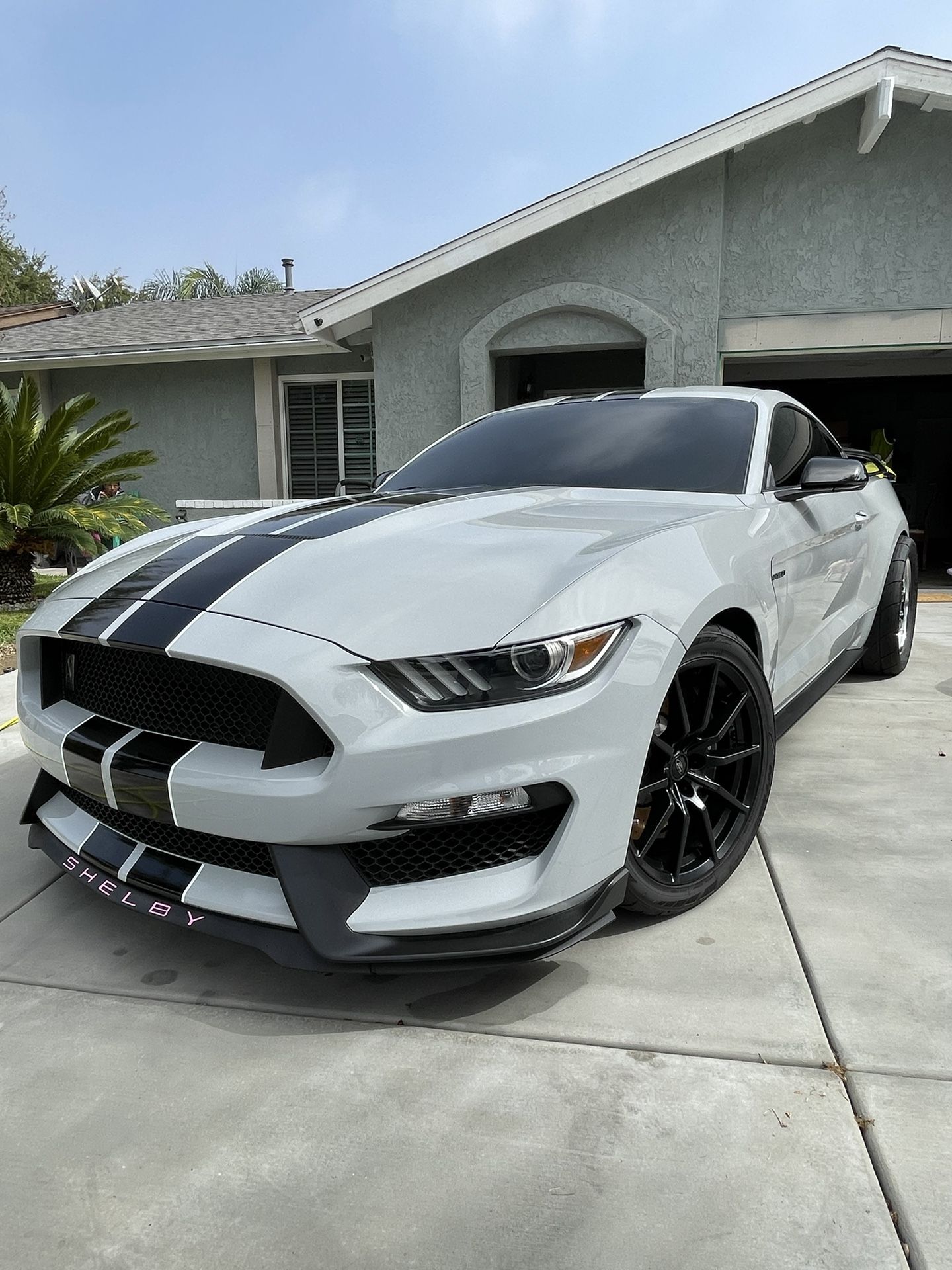 Ford Mustang Shelby