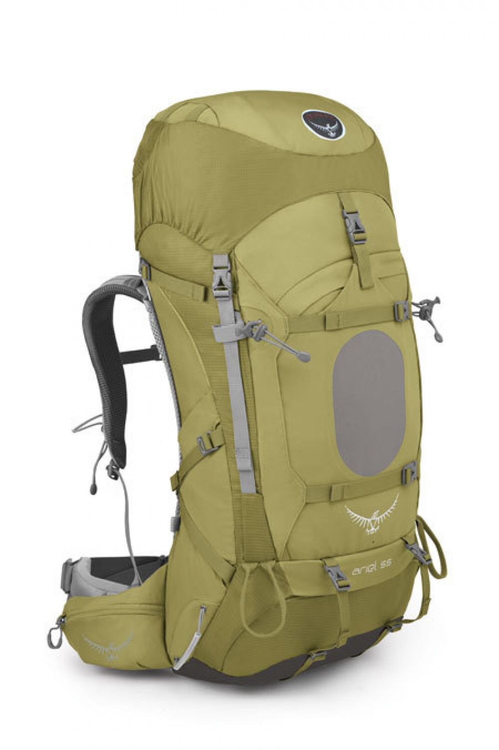 Brand new Osprey Backpacking pack